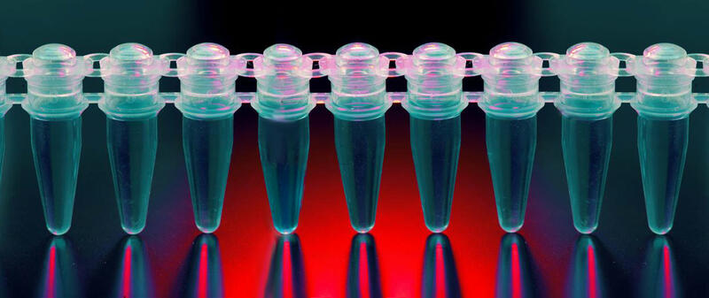 qPCR tubes