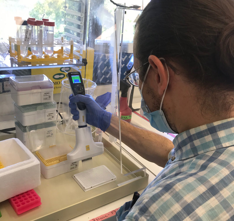 Researcher working with VOYAGER adjustable tip spacing pipette