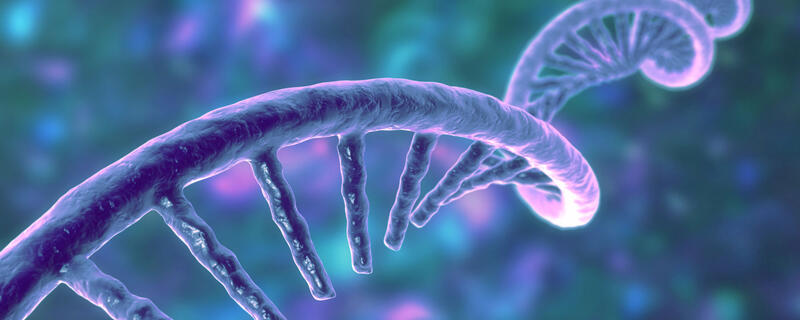 Single-stranded RNA molecule