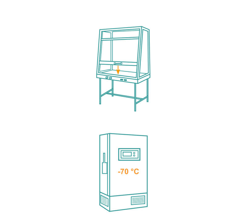 Safety cabinet and ultra-low temperature freezer