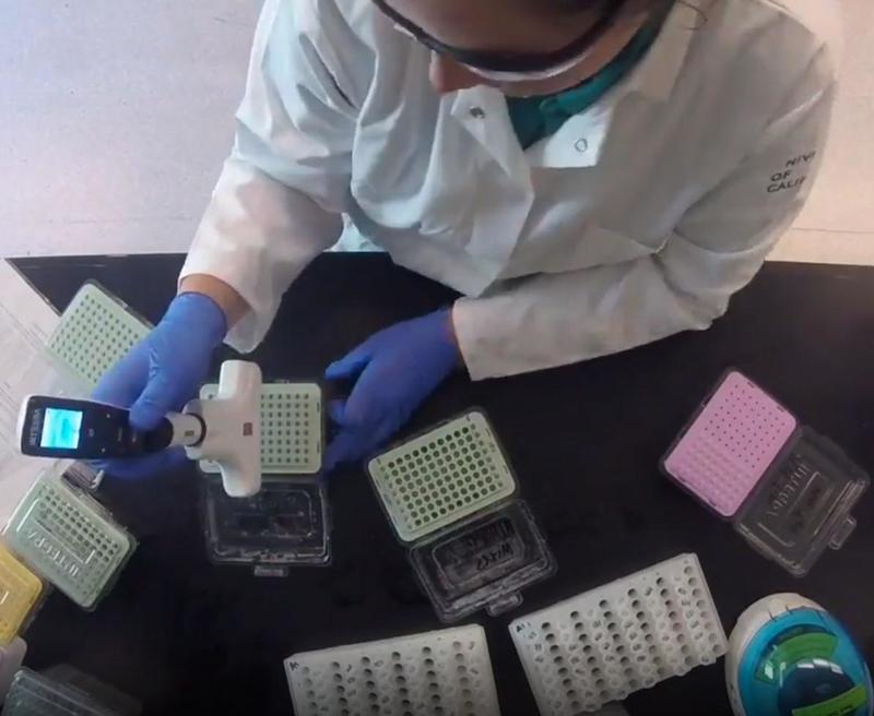 Samantha Levell using VOYAGER adjustable tip spacing pipette