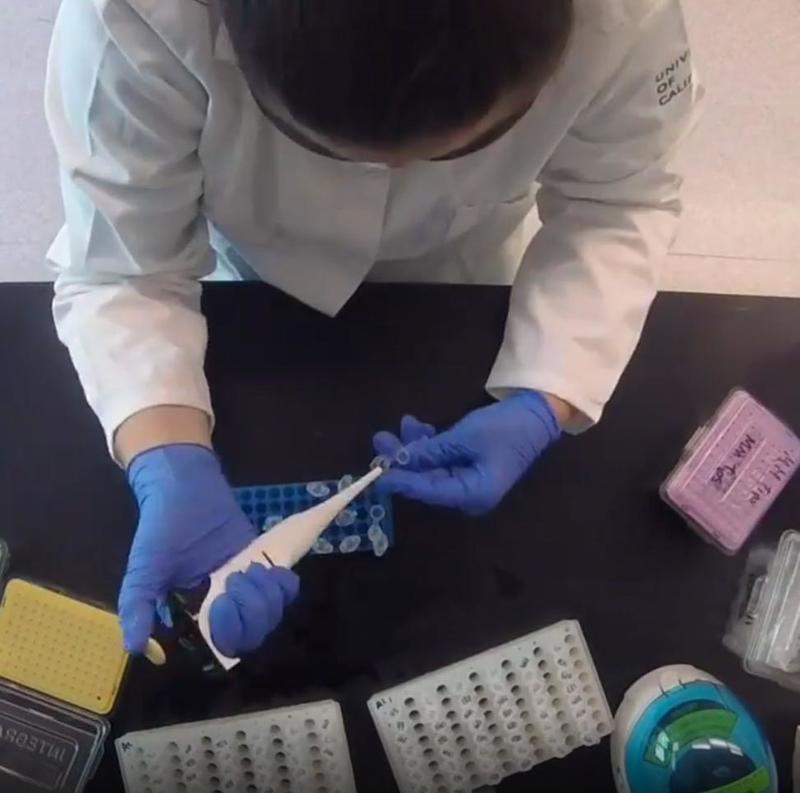 Samantha Levell using EVOLVE manual pipette