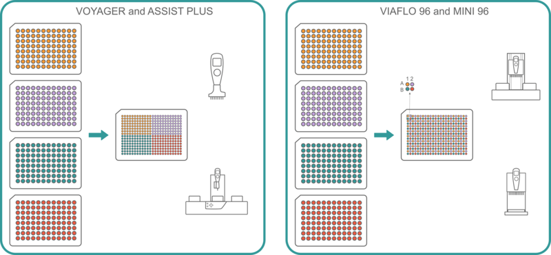 Infographic showing sample transfers from 96 well plates to a 384 well plate with INTEGRA's VOYAGER, VIAFLO 96, and MINI 96.
