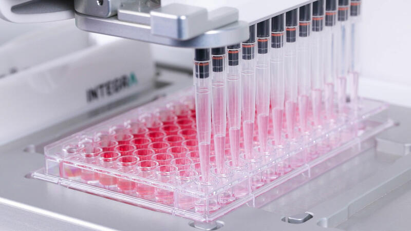 ASSIST PLUS pipettingrobot performing a serial dilution in a 96 well plate