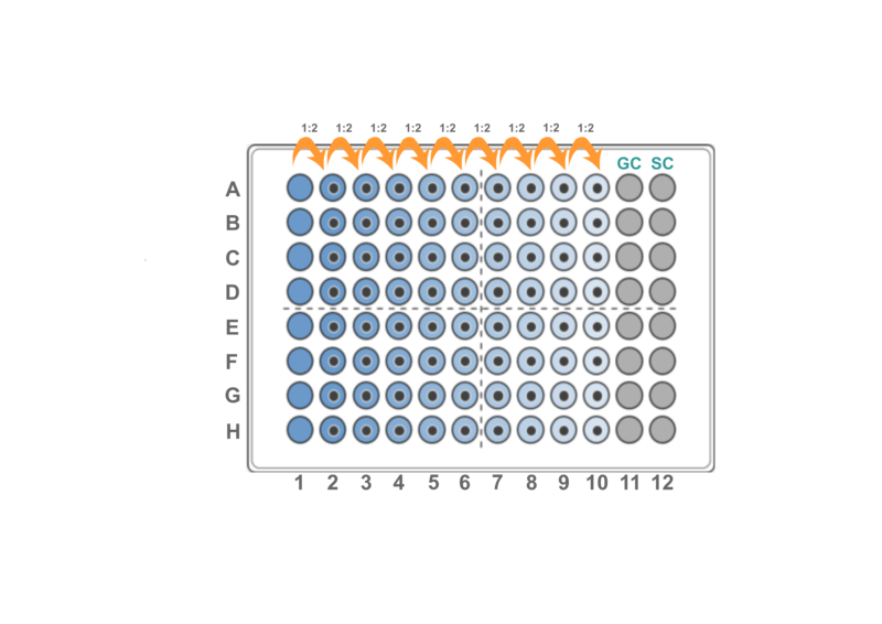 Schematic representation of the 10x twofold serial dilution (GC: growth control, SC: sterility control).