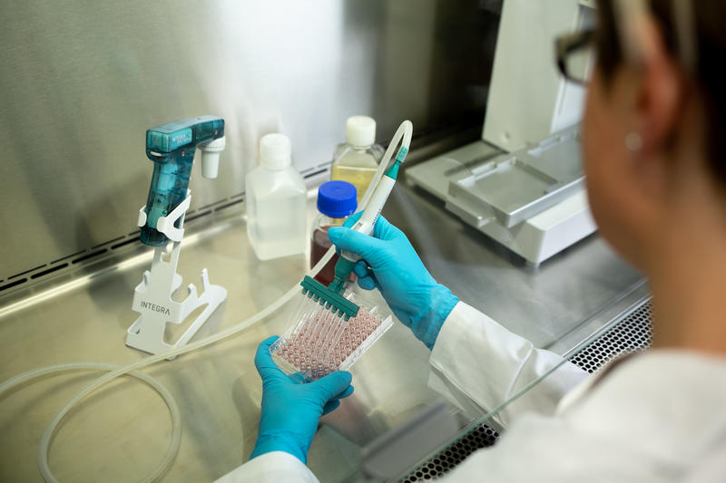 Scientist working in a biosafety cabinet