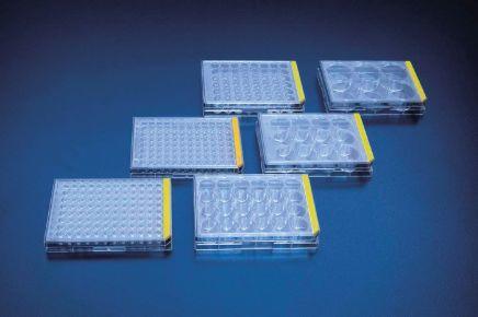 TPP-Tissue-Culture-Test-Plates