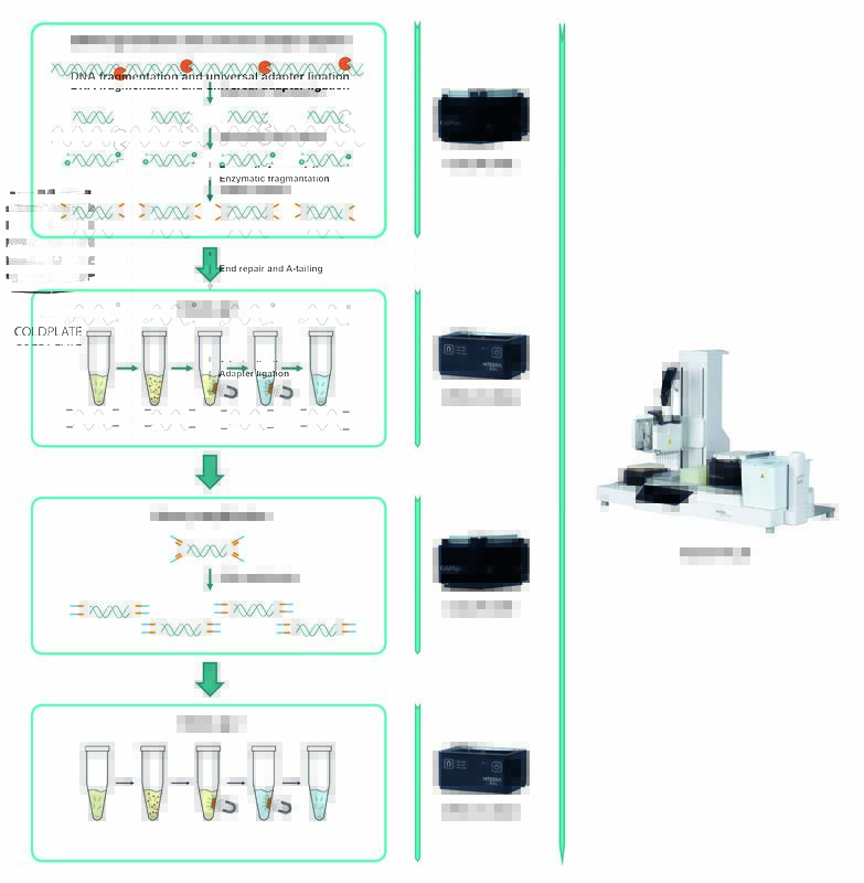 Illustration of the Twist library preparation workflow with the MAG and COLDPLATE modules automated on the ASSIST PLUS.