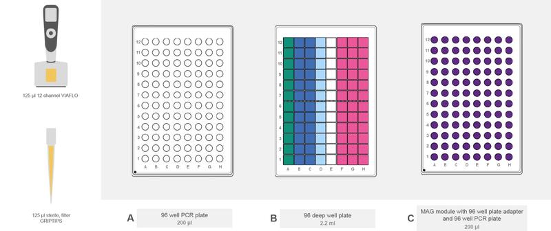 Graphical representation of the ASSIST PLUS deck set-up for clean-up 1 with 96 well PCR plate, 96 deep well plate and MAG module.