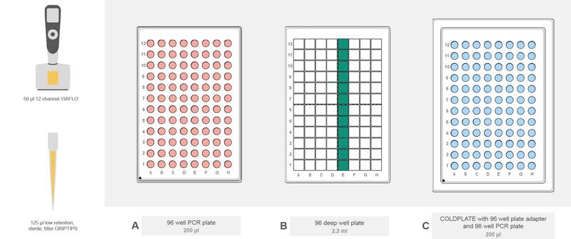 Graphical representation of the ASSIST PLUS deck set-up for library amplification with 96 well PCR plate, 96 deep well plate and COLDPLATE.