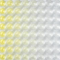 Serial dilution plate crop of the left part, no instrument, no partner logo.
