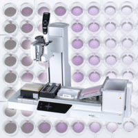 ASSIST PLUS MTT assay